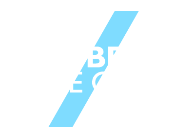 Big Bear Little Goose
